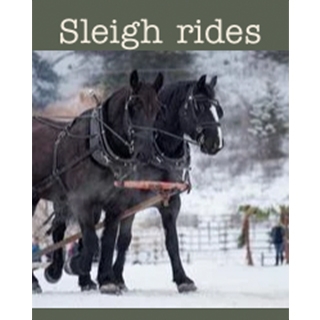12 12 11 Christmas Sleigh Rides 320