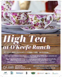 22 07 13 High Tea Poster 500