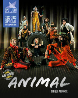 Animal 500 X 625
