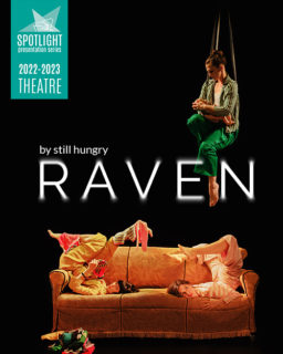 Raven 500 X 625