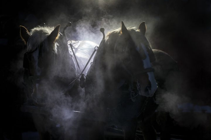 2017 Sleigh Rides Photo By Coralie Nairn