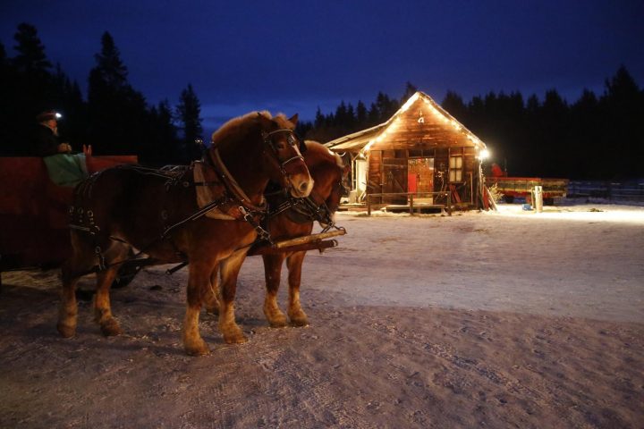 Caravan Farm Theatre