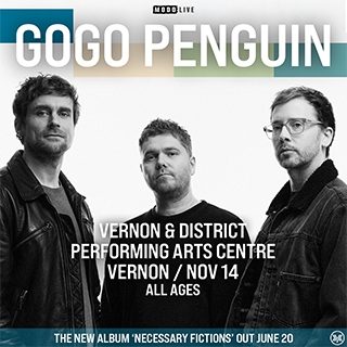 2025 11 14 Go Go Penguin 320 B