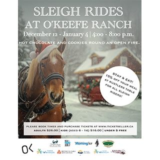 25 12 12 Sleigh Rides At Okeefe 320
