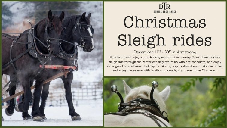 Christmas Sleigh Rides
