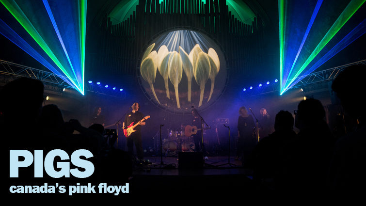 PIGS: Canada's Pink Floyd