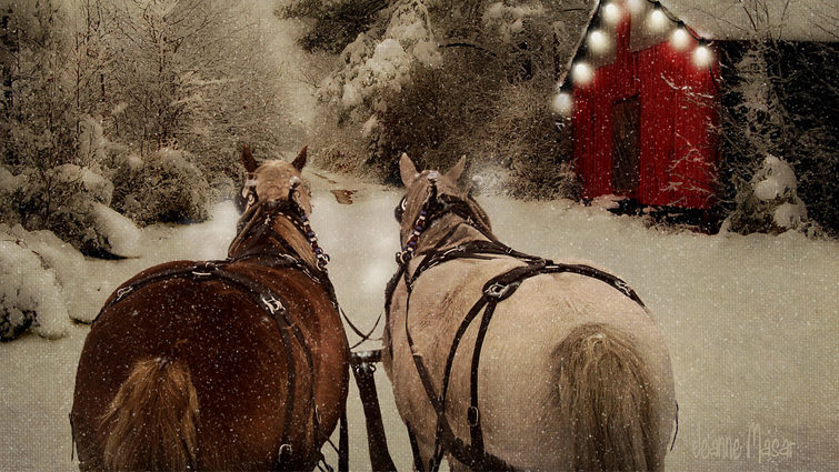 Historic O'Keefe Ranch Sleigh Ride