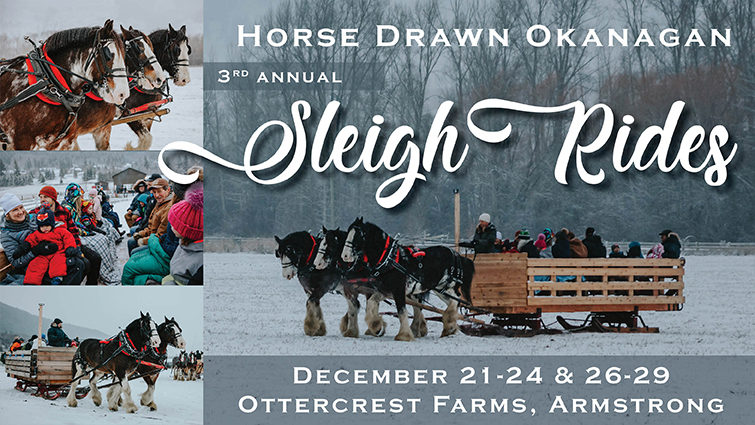 Winter Sleigh Rides with Horse Drawn Okanagan