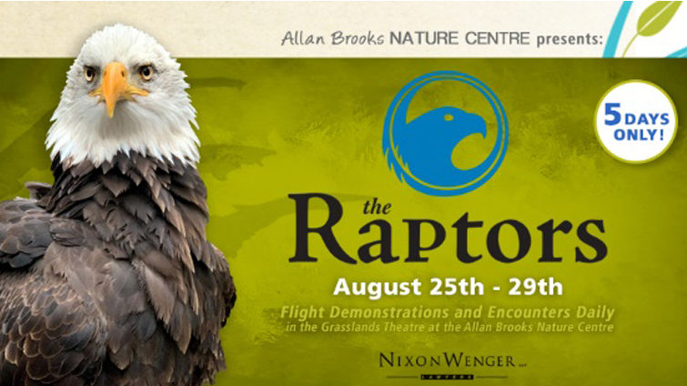 The Raptors - Encounters