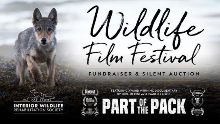 Wildlife Film Festival & Fundraiser