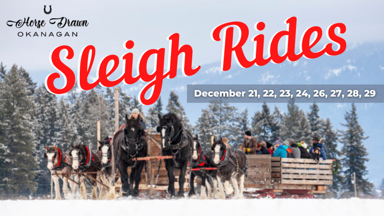 Horse Drawn Okanagan Sleigh Ride