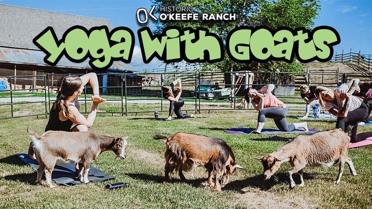 Yoga with Goats at Historic O'Keefe Ranch