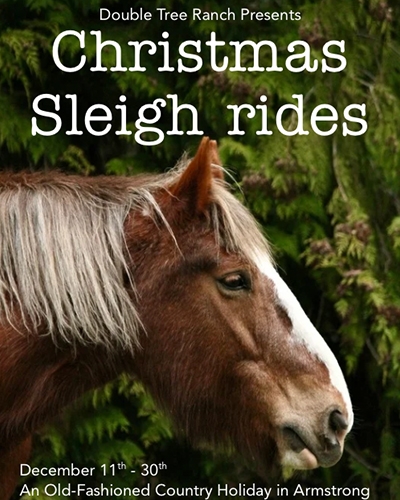 Christmas Sleigh Rides