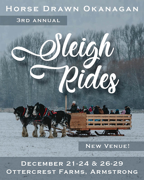 Winter Sleigh Rides with Horse Drawn Okanagan