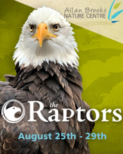 The Raptors - Encounters
