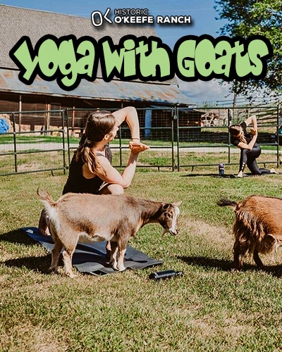 Yoga with Goats at Historic O'Keefe Ranch