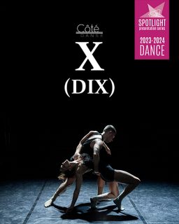 Dix 500 X 625
