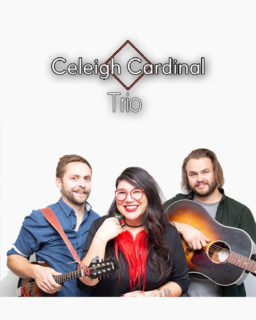 18 11 10 Celeigh Cardinal Trio Poster 500
