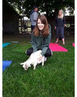 19 06 05 Yoga With Goats Poster 500