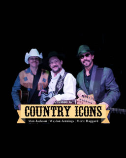 19 09 13 Country Icons Thumb Poster 500