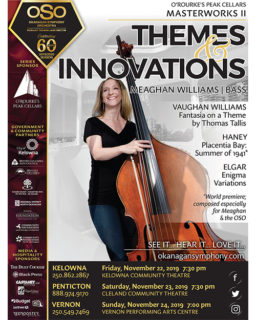 19 11 20 Themes Innovations Poster 500