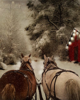 19 12 01 Sleigh Rides Poster 500