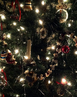 19 12 08 Christmas Tea 2019 500
