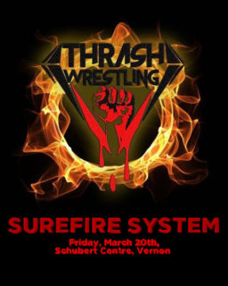 20 03 20 Surefire System Poster 500