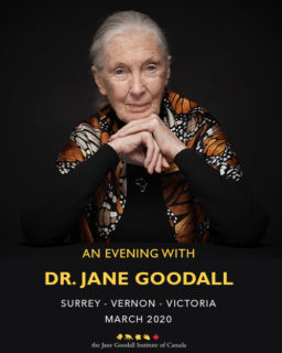 20 03 24 Jane Goodall Poster 500