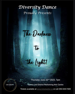 2023 06 22 The Darkness To The Ligh Poster 500