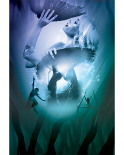 22 11 26 Enchanted Poster 500