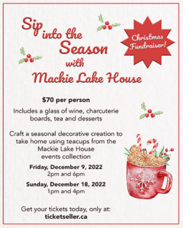 22 12 09 Mackie Christmas Poster 500
