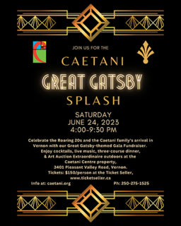 23 06 24 The Great Gatsby Caetani Splash Poster 500