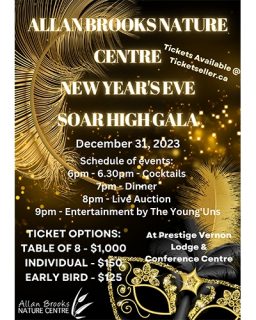 23 12 31 Soar High Gala Poster 500