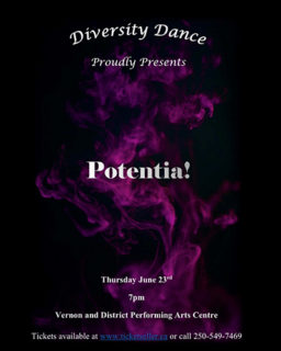 Diversity Dance Poster 500