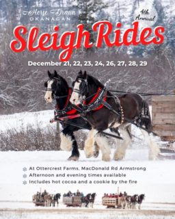 Horse Drawn Okanagan Sleigh Ride Poster 500